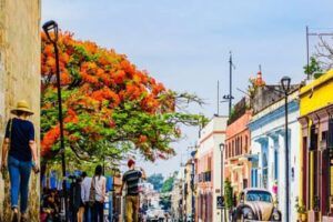 Salud Digna Oaxaca